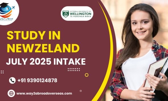study in newzeland